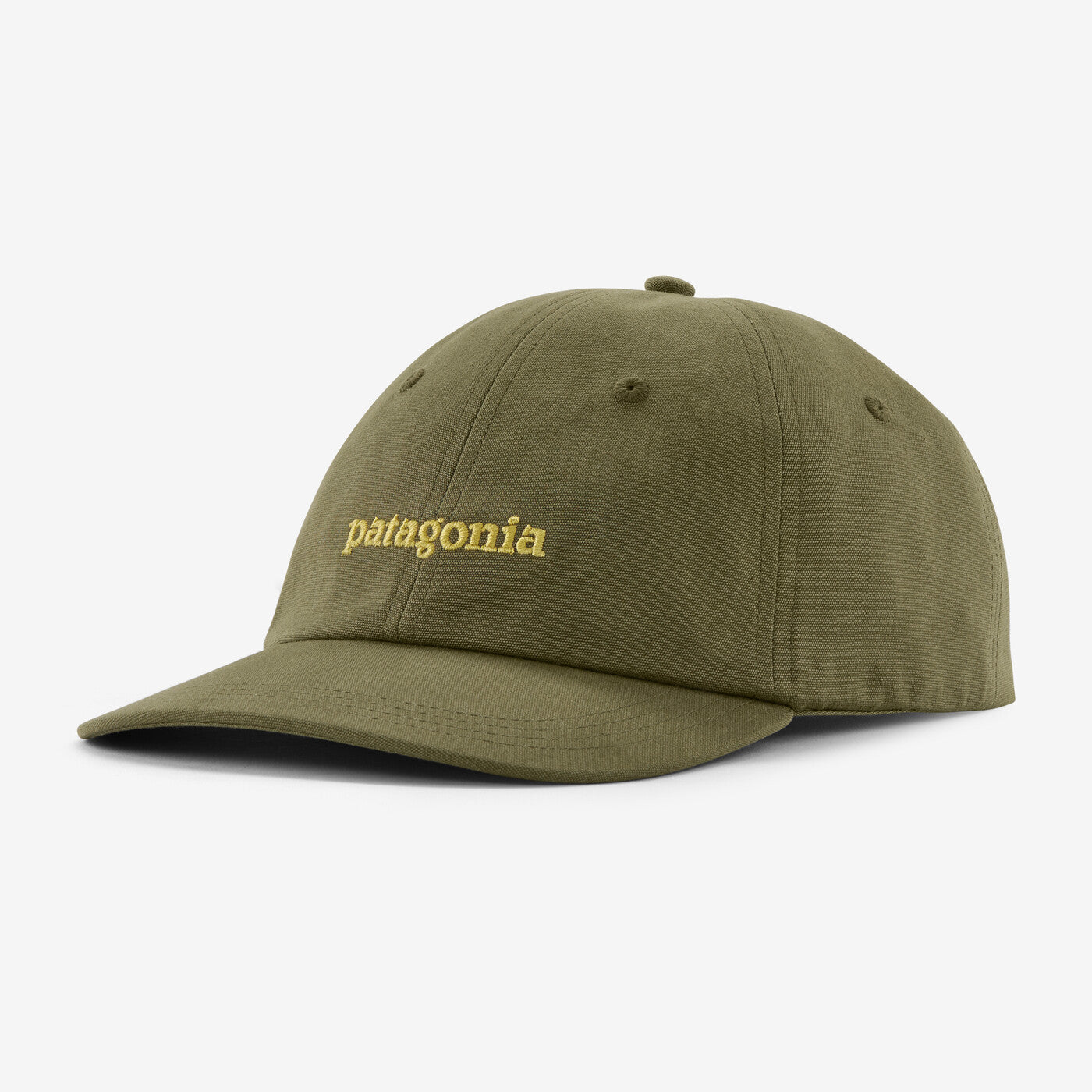 Patagonia Fitz Roy Icon Trad Cap