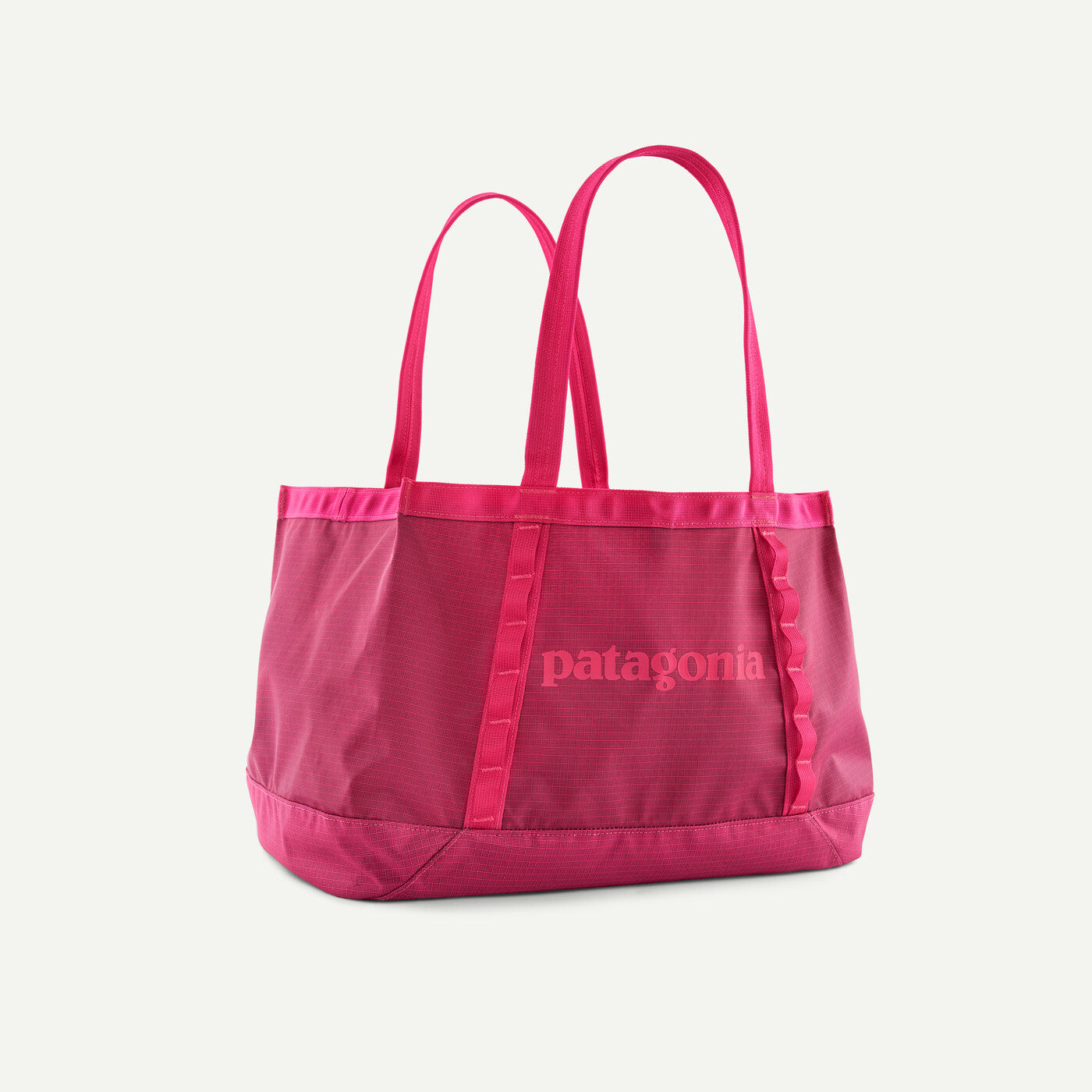 Patagonia Black Hole Tote 25L