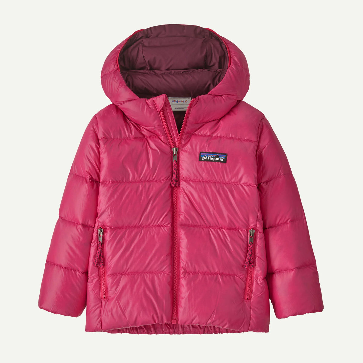 Patagonia Baby Hi-Loft Down Sweater Hoody