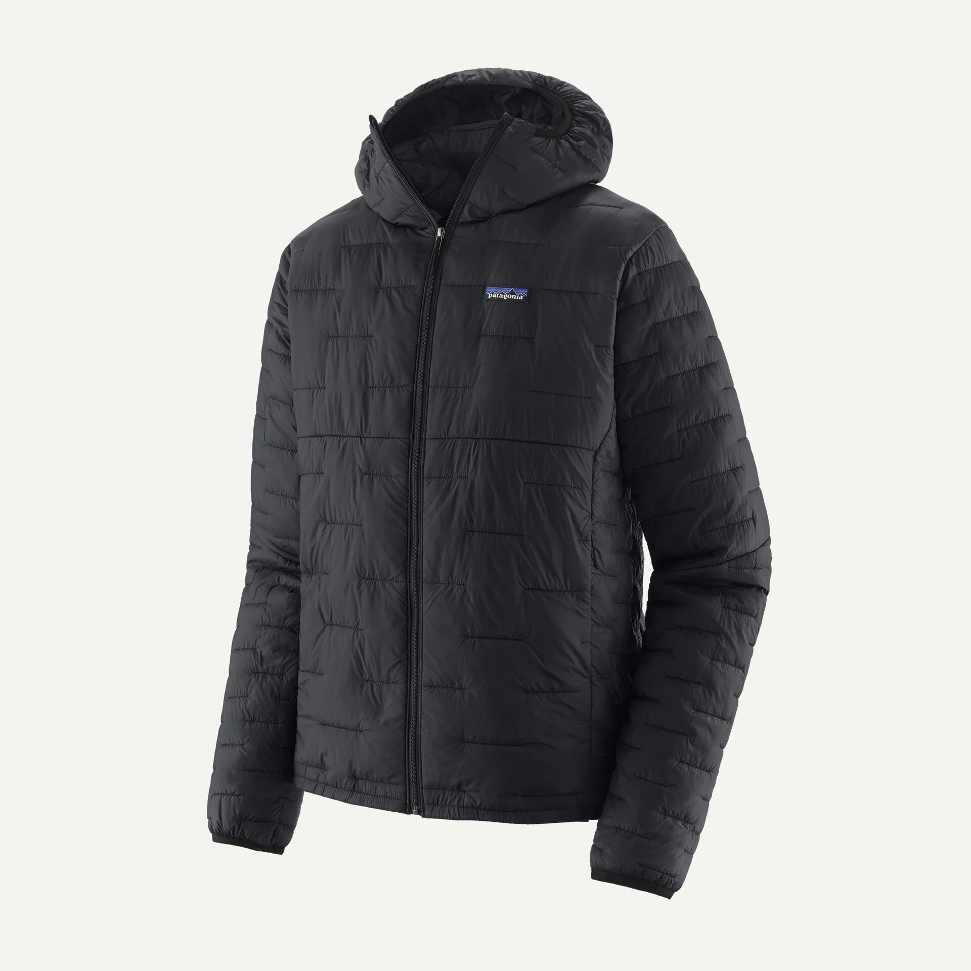 Patagonia Men's Micro Puff® Hoody