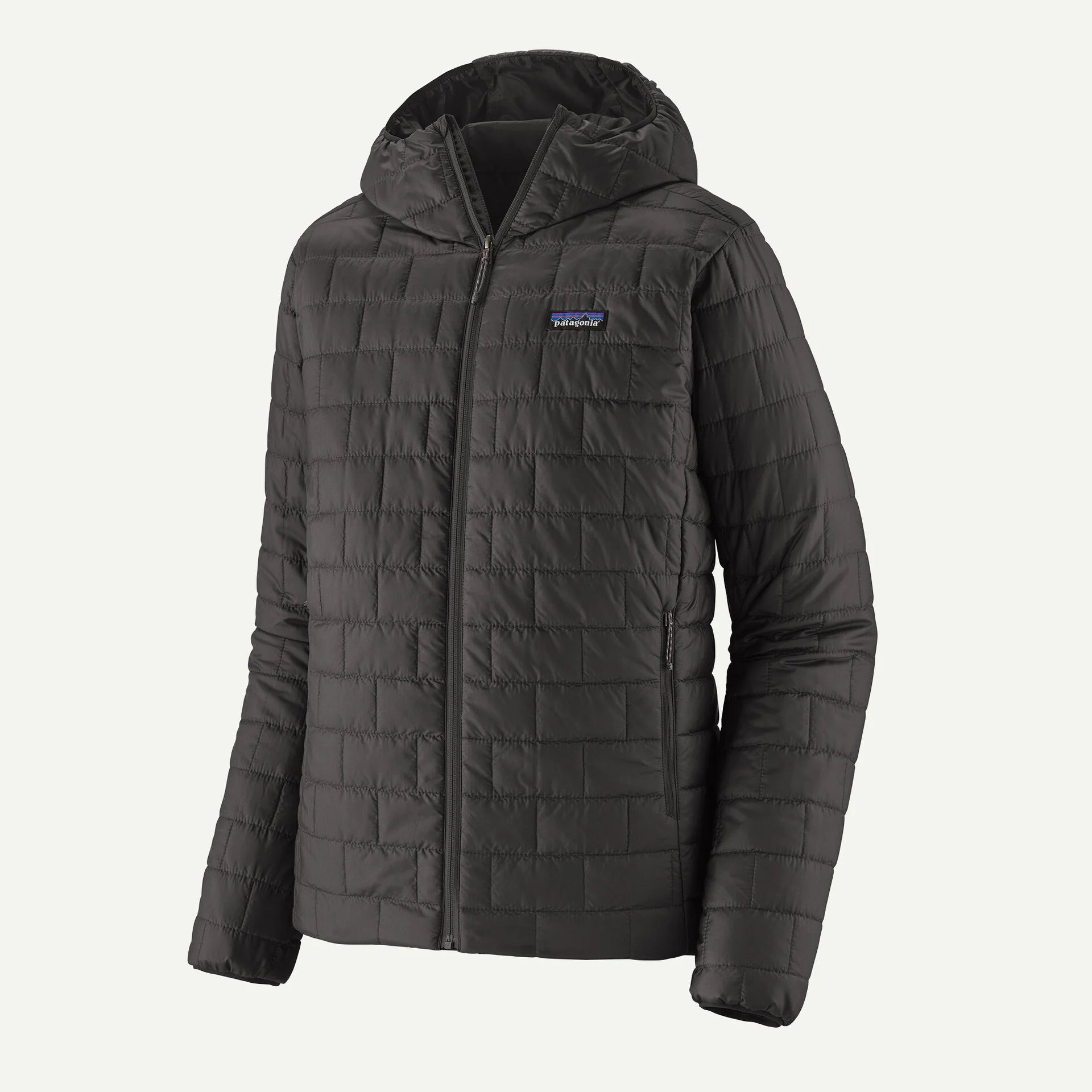 Patagonia Men's Nano Puff Hoody