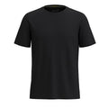 Smartwool Men's Active Short Sleeve