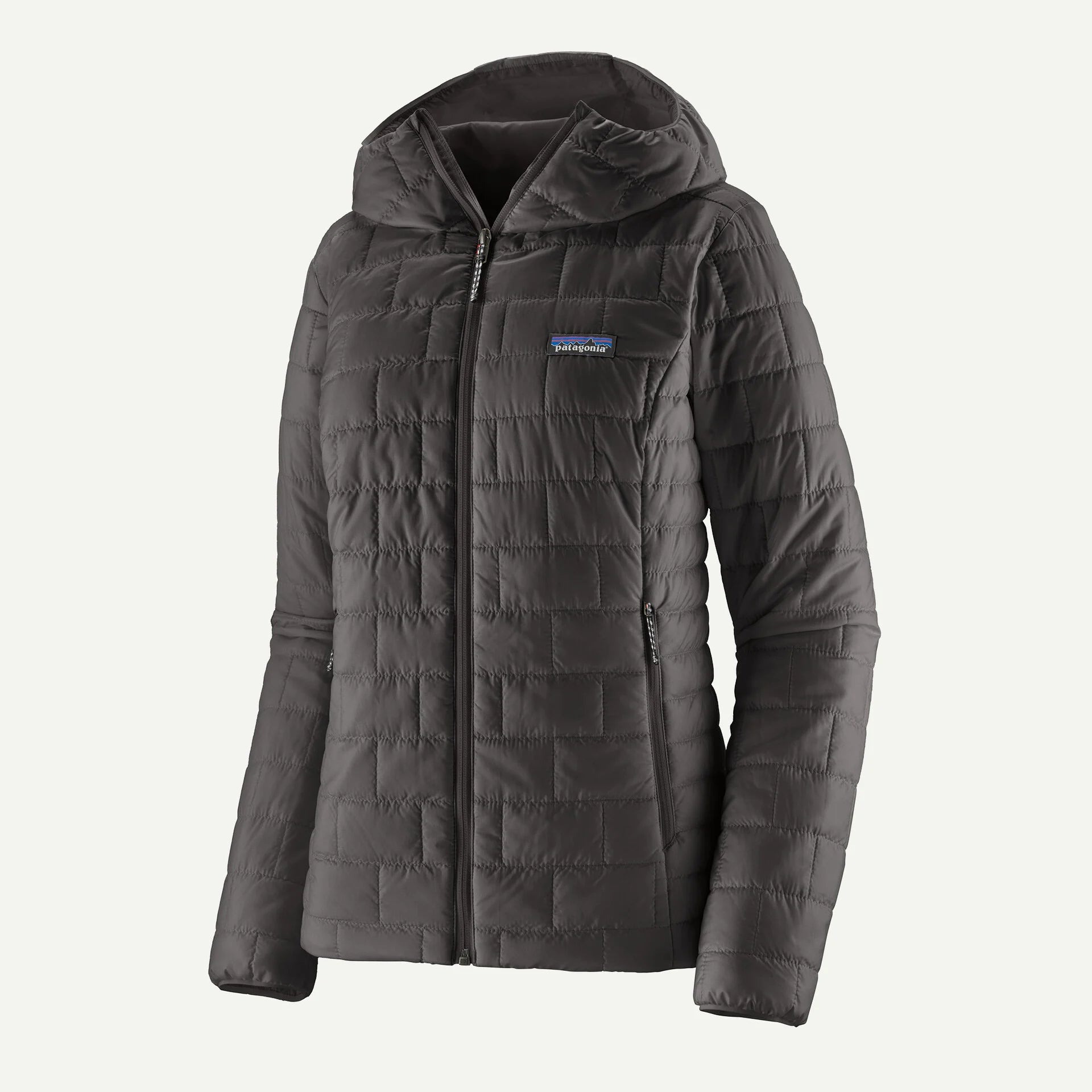 Patagonia Women's Nano Puff Hoody