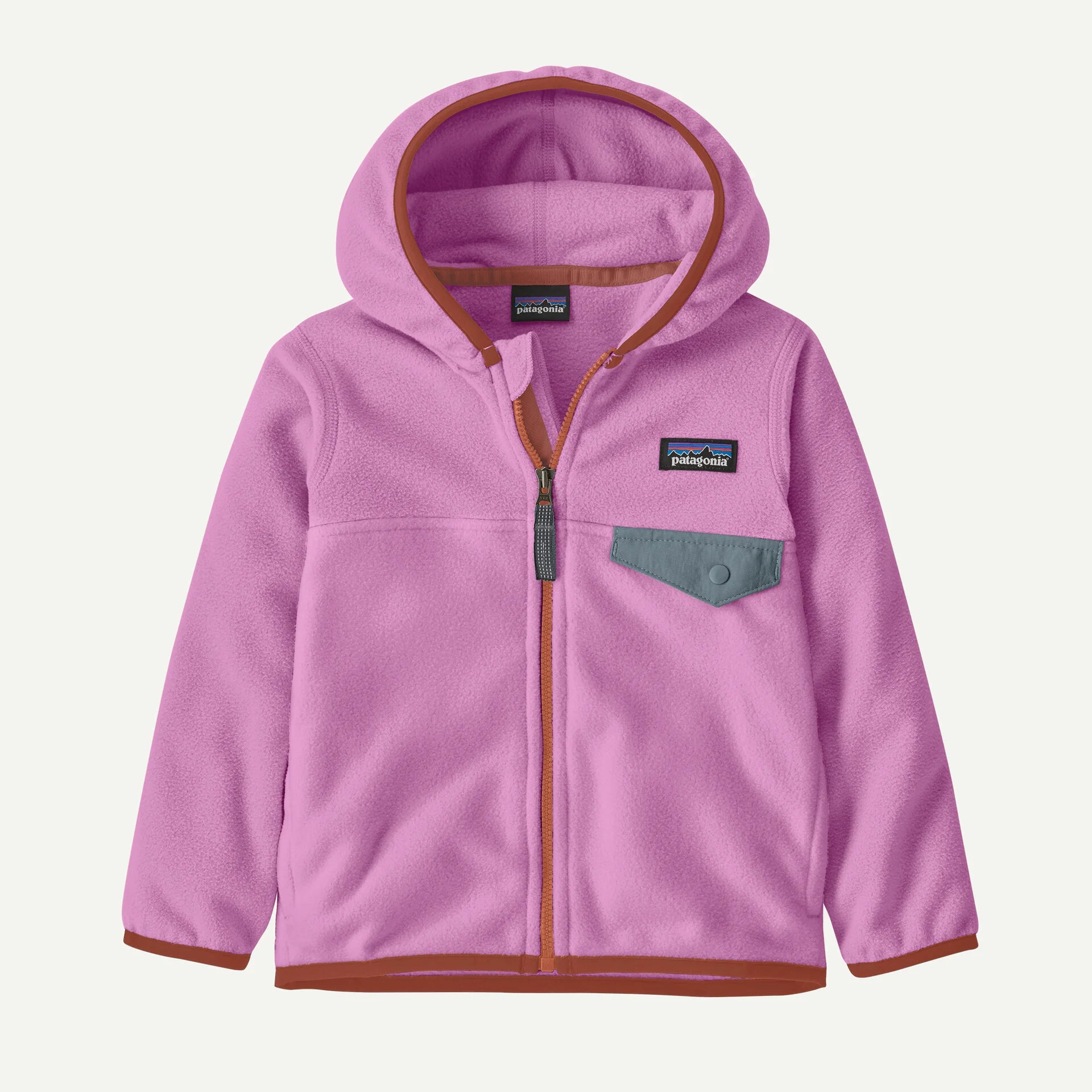 Patagonia Baby Micro D® Snap-T® Fleece Jacket – The Basin Apparel
