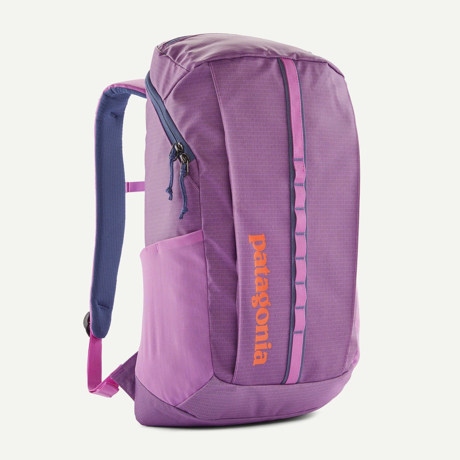 Patagonia Black Hole® Pack 25L